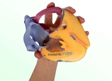 RIZE RIZIUM Glass Fiber hand-holding-heart 08-11-2020 copy