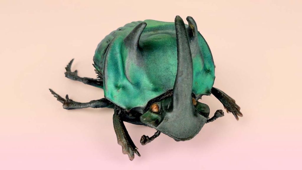 Macroscans Mimaki 3D printed insect