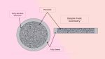 Controlled Permeability dyndrite