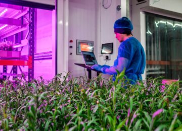 Intelligent Growth Solutions