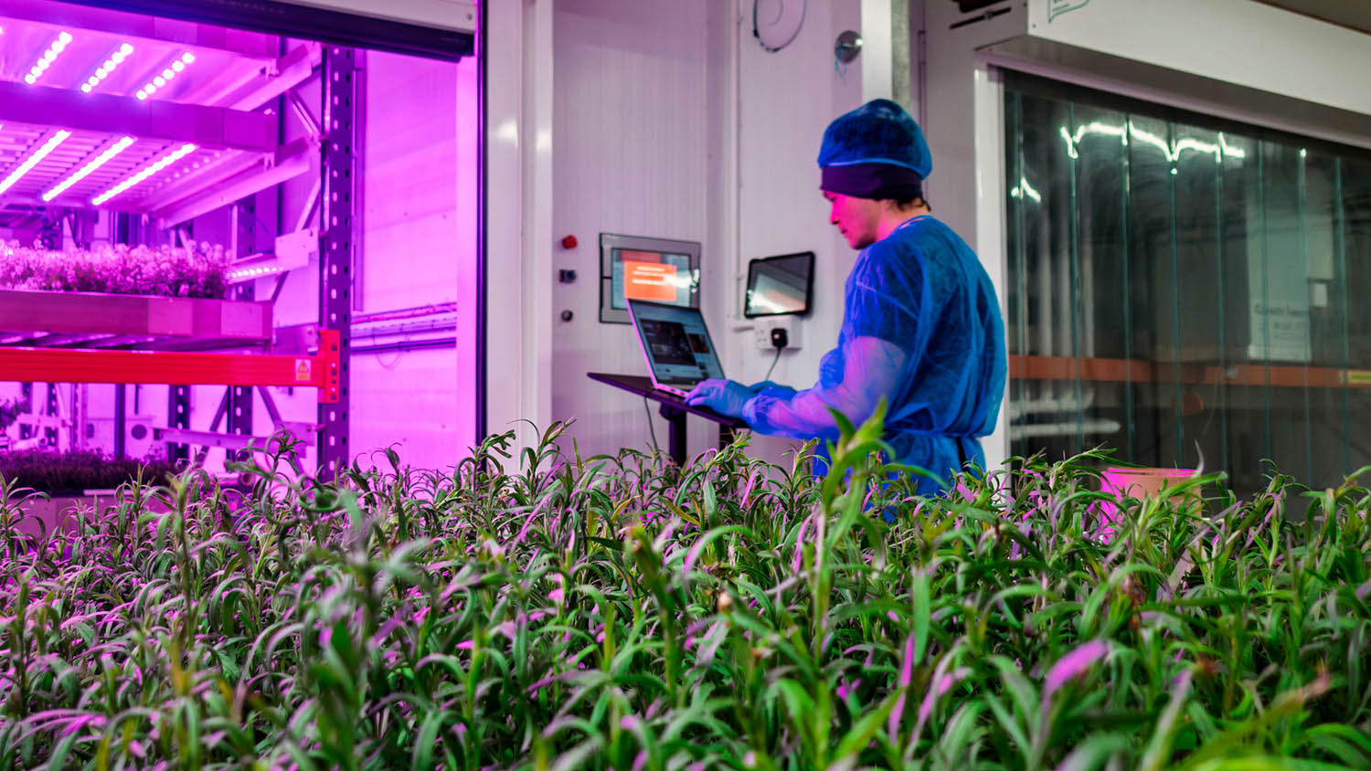 Intelligent Growth Solutions